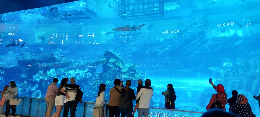 2023-01-03- Dubai-20230103_132430.jpg